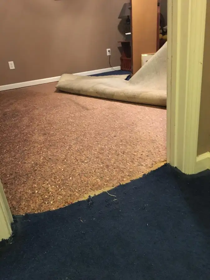 Carpet pad removal revealing water damage during Water Mitigation Services in Gering