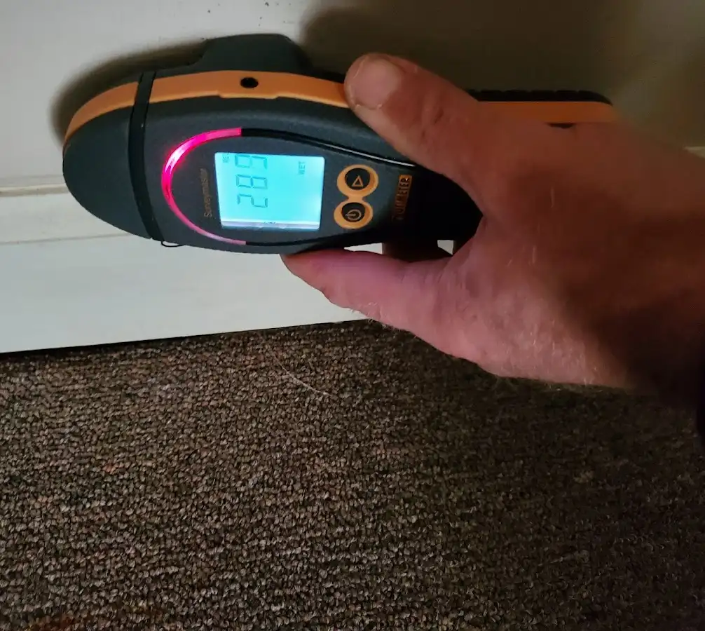 Moisture detection at baseboard during Mold Inspection & Testing in Gering